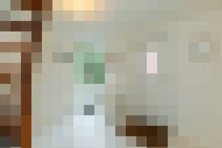 Hoofdstraat 118 De Steeg thumbnail 8