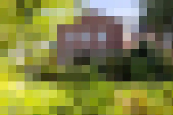 Hoofdstraat 118 Gaanderen thumbnail 33