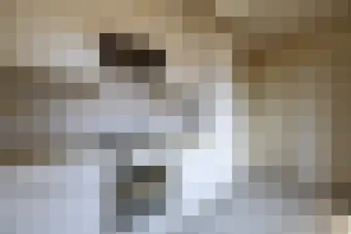 Hoofdstraat 118 Gaanderen thumbnail 8