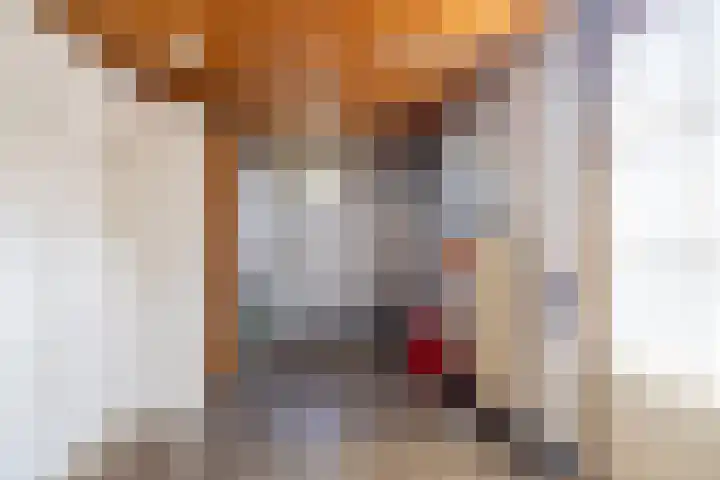 Hoofdstraat 118 Gaanderen thumbnail 9