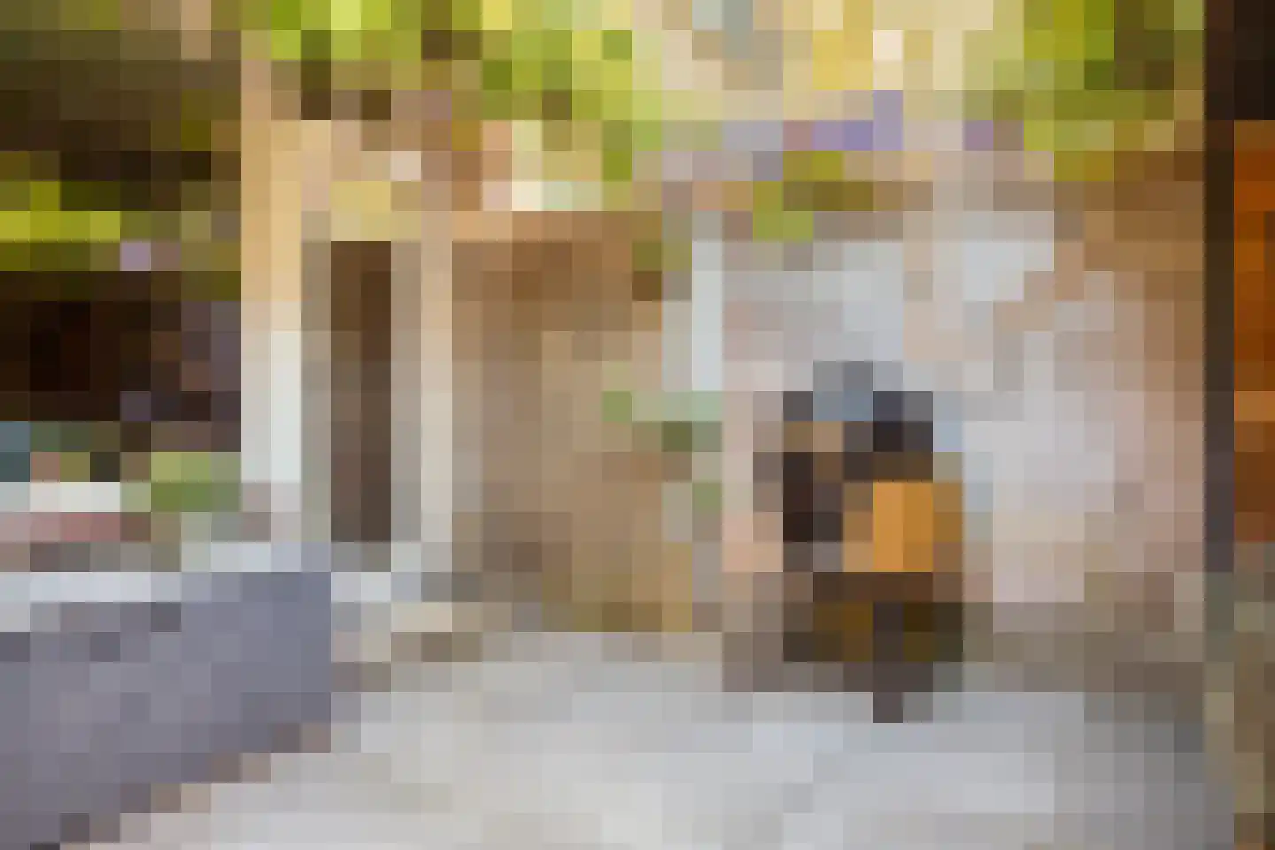 Hoofdstraat 118 Krimpen aan de Lek thumbnail 29