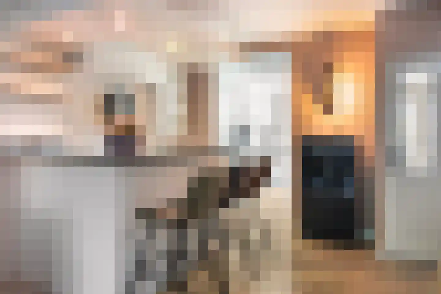 Hoofdstraat 118 Krimpen aan de Lek thumbnail 9