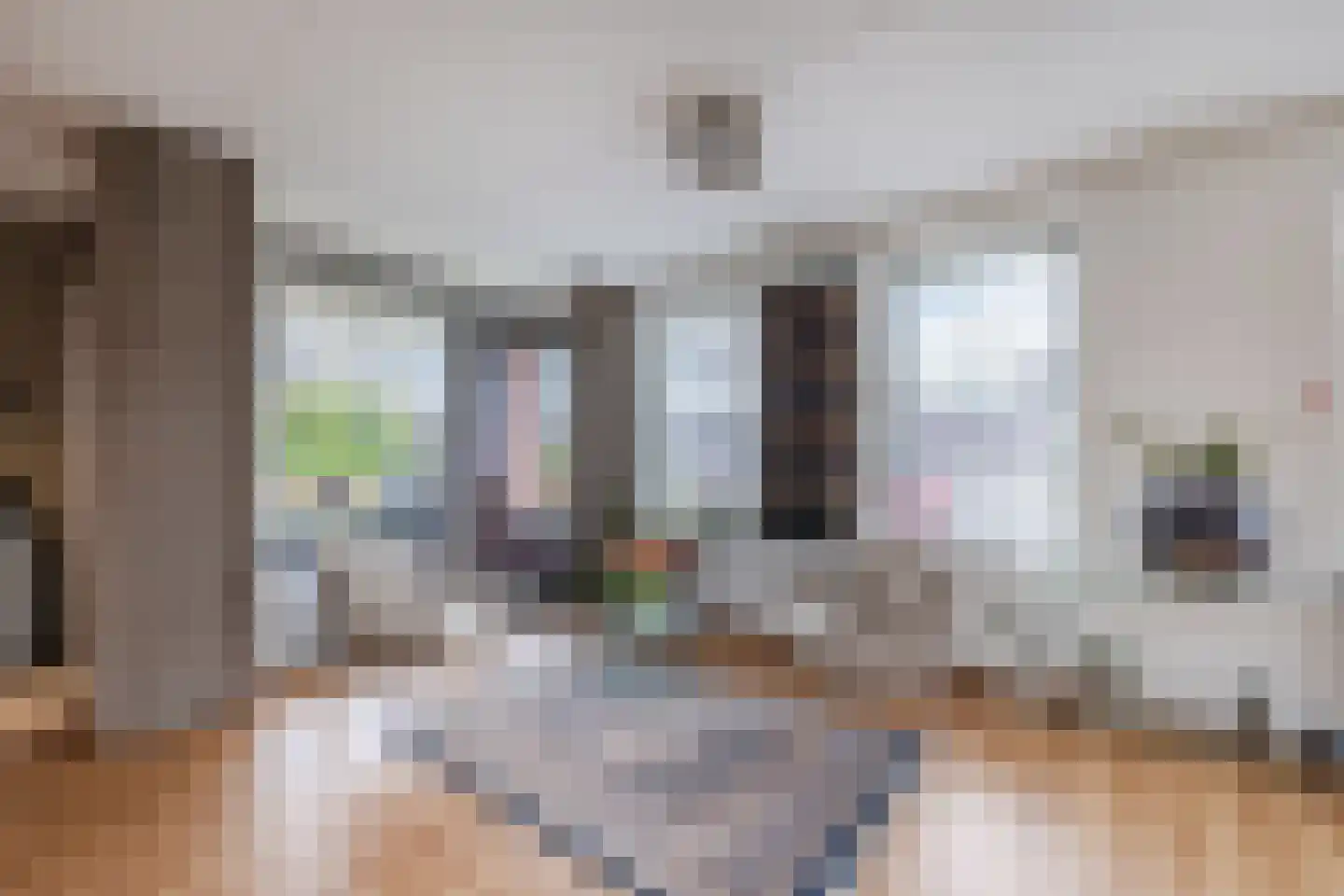 Hoofdstraat 118 Zuidwolde thumbnail 8