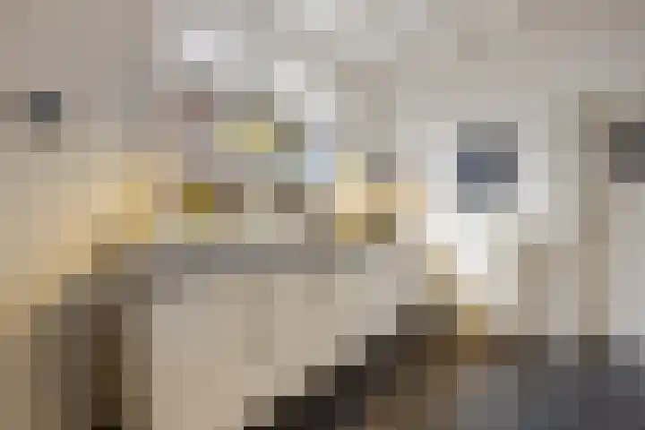 Hoofdstraat 119 Voorthuizen thumbnail 20