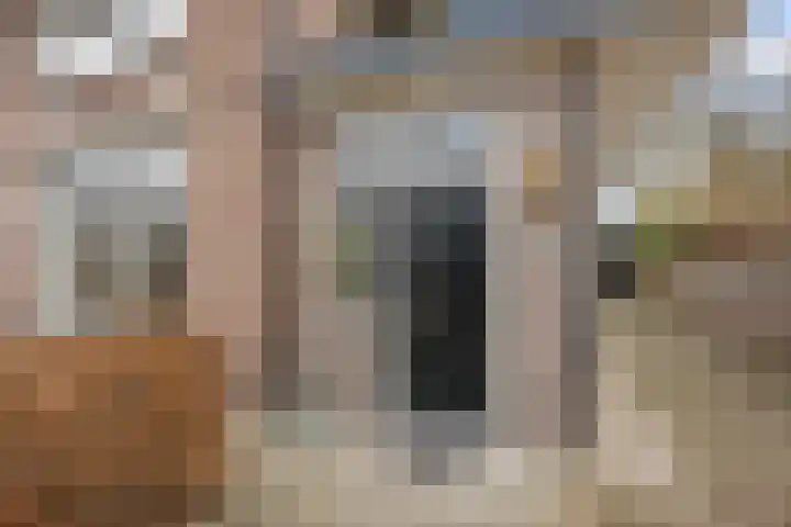 Hoofdstraat 119 Voorthuizen thumbnail 4