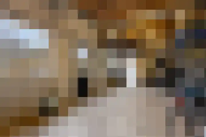 Hoofdstraat 119 Voorthuizen thumbnail 46