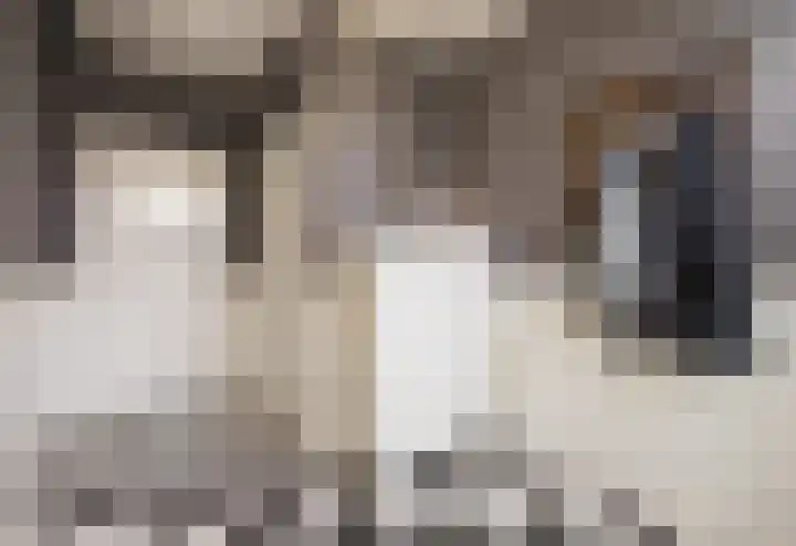 Hoofdstraat 119 Voorthuizen thumbnail 6