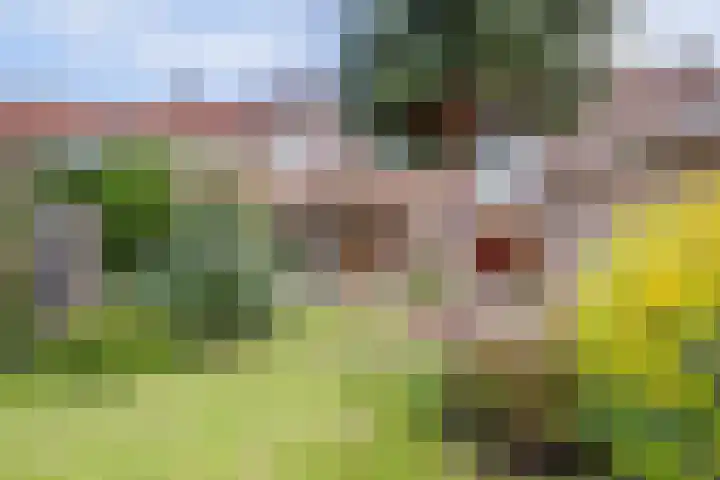 Hoofdstraat 12 e Rolde thumbnail 12