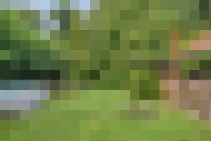 Hoofdstraat 12 e Rolde thumbnail 19