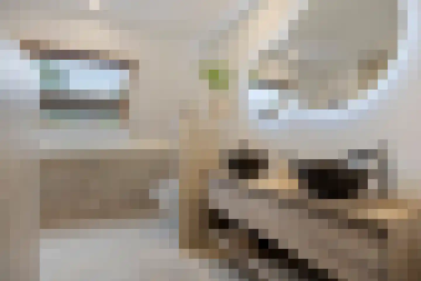Hoofdstraat 12 Een thumbnail 31