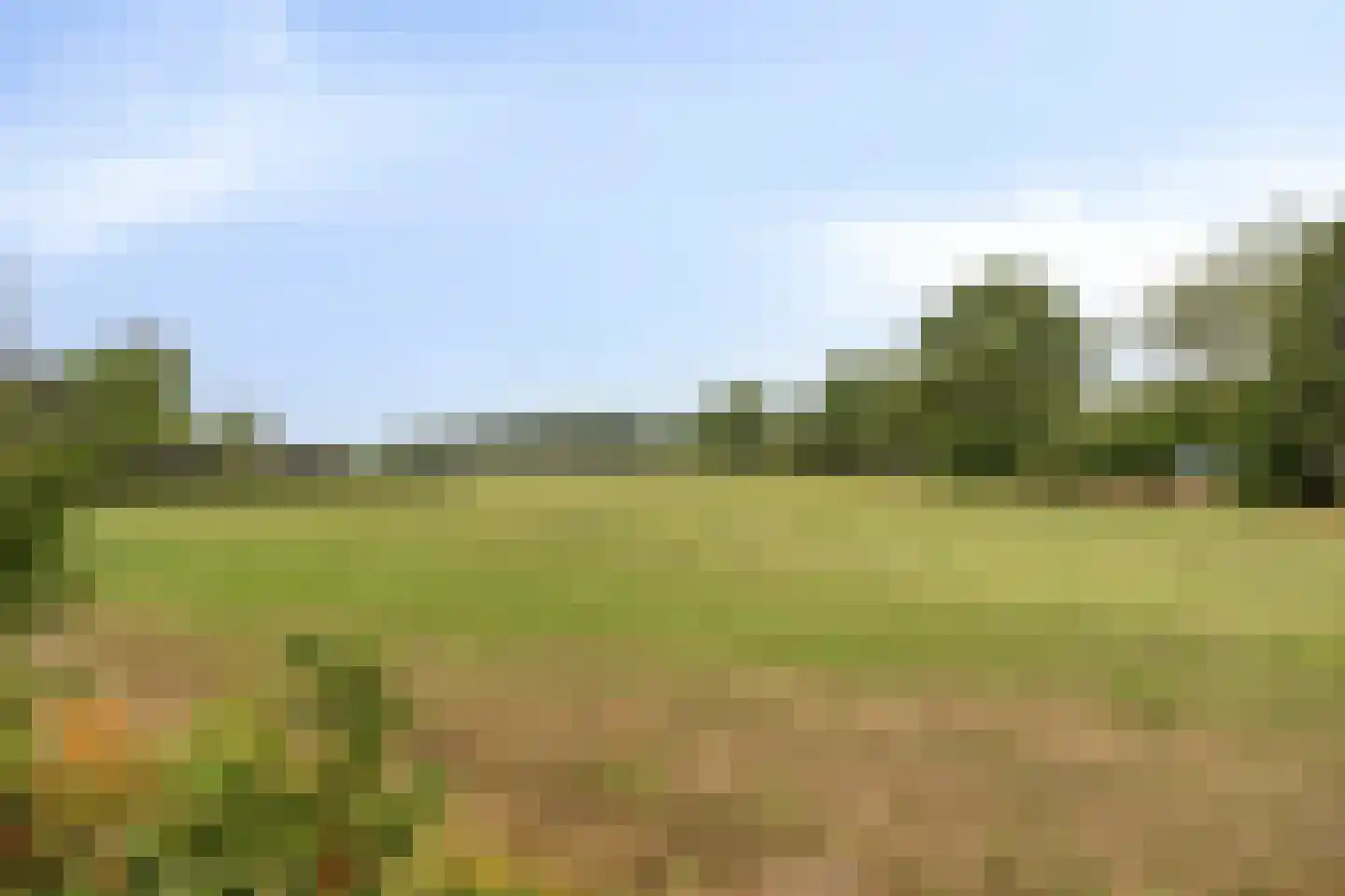 Hoofdstraat 12 Een thumbnail 47