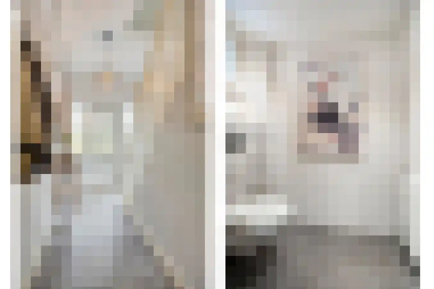 Hoofdstraat 12 Een thumbnail 6