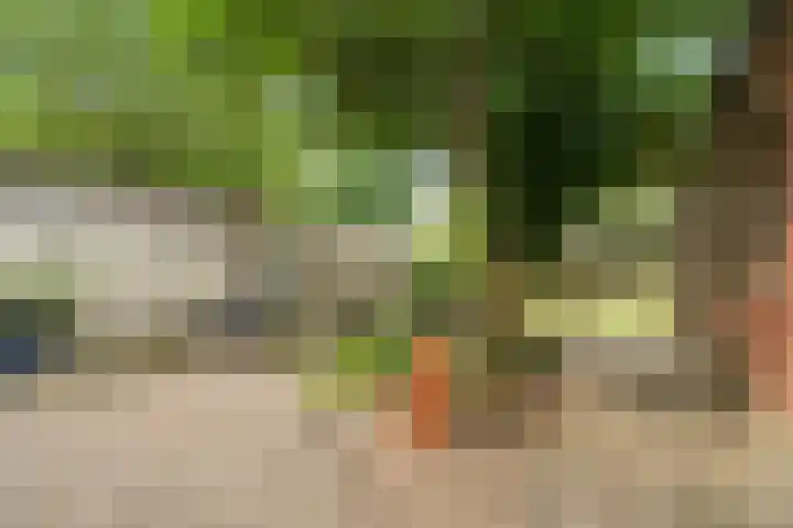 Hoofdstraat 12 Heijen thumbnail 21