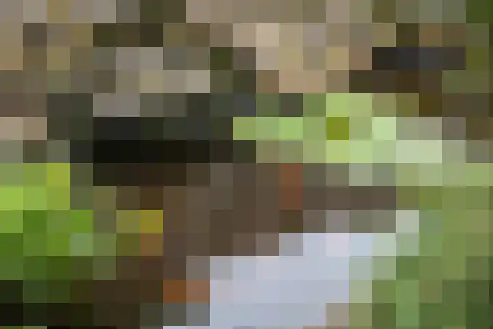 Hoofdstraat 12 Heijen thumbnail 22
