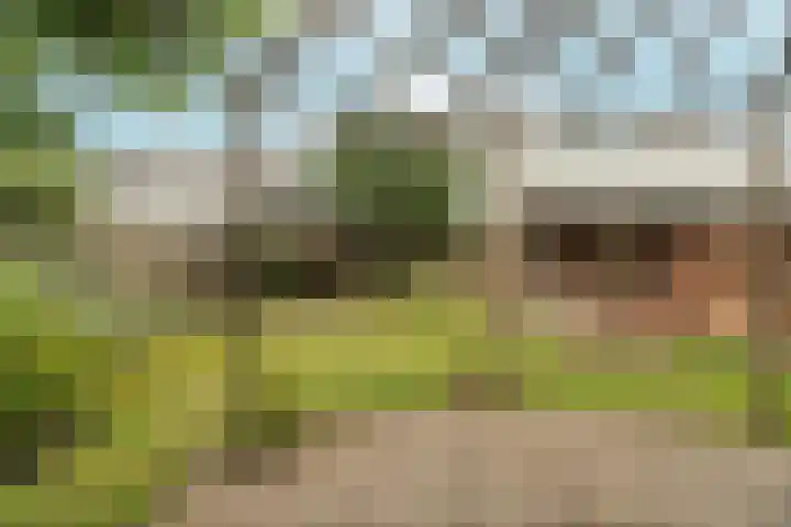 Hoofdstraat 12 Heijen thumbnail 23