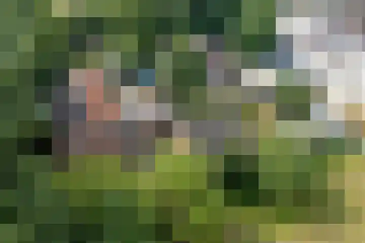 Hoofdstraat 12 Heijen thumbnail 27