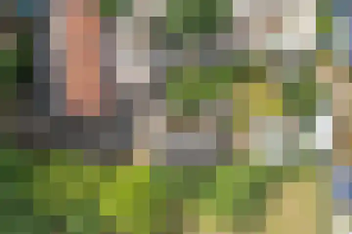 Hoofdstraat 12 Heijen thumbnail 28