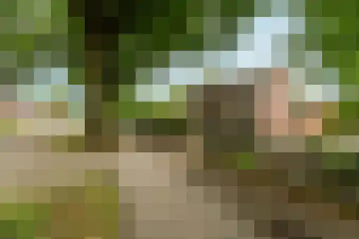 Hoofdstraat 12 Heijen thumbnail 5