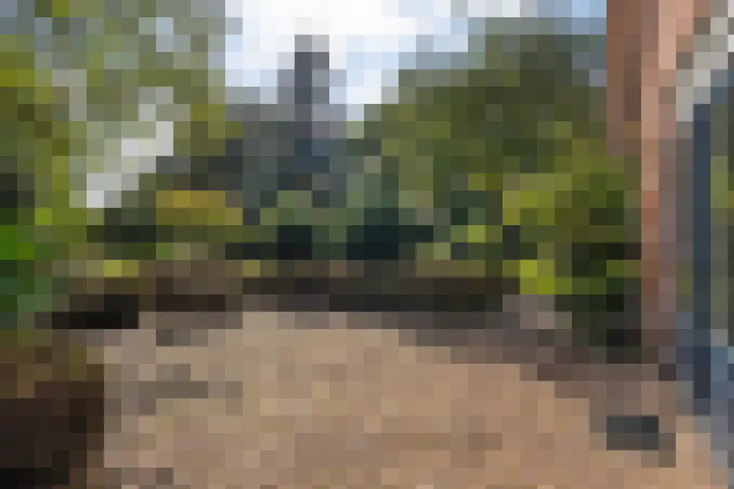 Hoofdstraat 12 Lattrop-Breklenkamp thumbnail 40