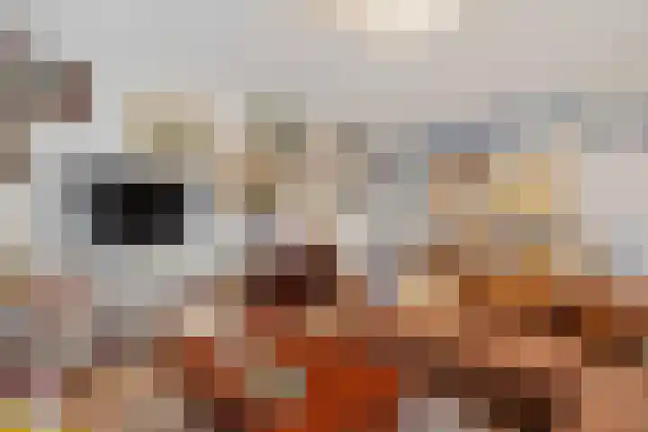 Hoofdstraat 12 Nieuwolda thumbnail 15