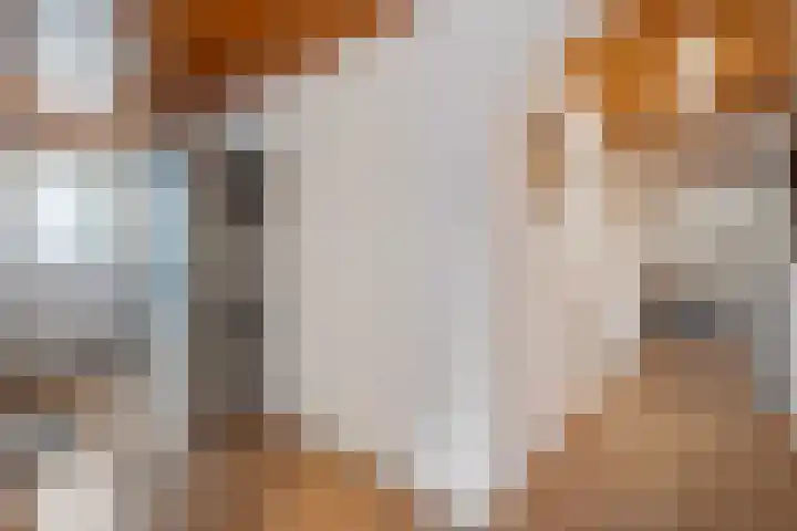 Hoofdstraat 12 Nieuwolda thumbnail 17