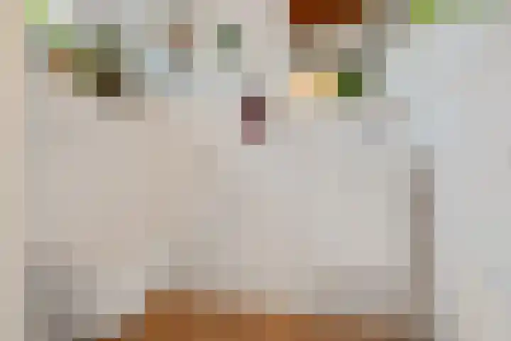 Hoofdstraat 12 Nieuwolda thumbnail 23
