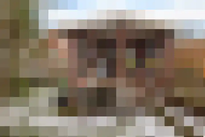 Hoofdstraat 12 Nieuwolda thumbnail 32