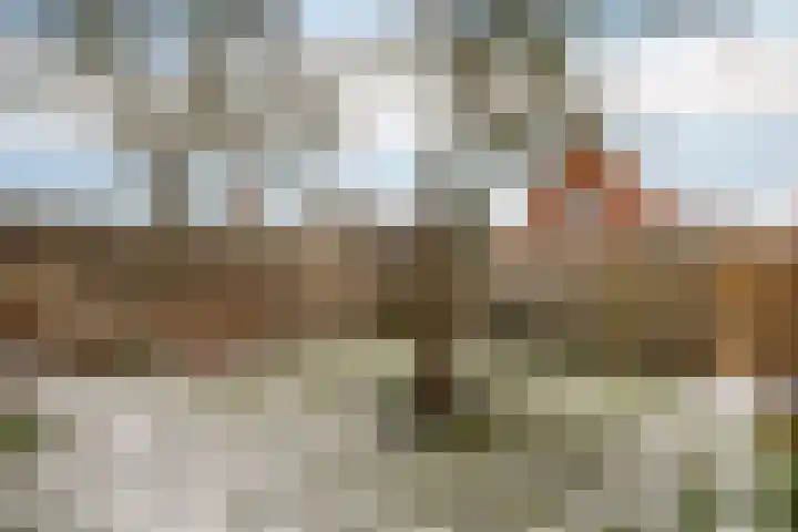 Hoofdstraat 12 Nieuwolda thumbnail 33