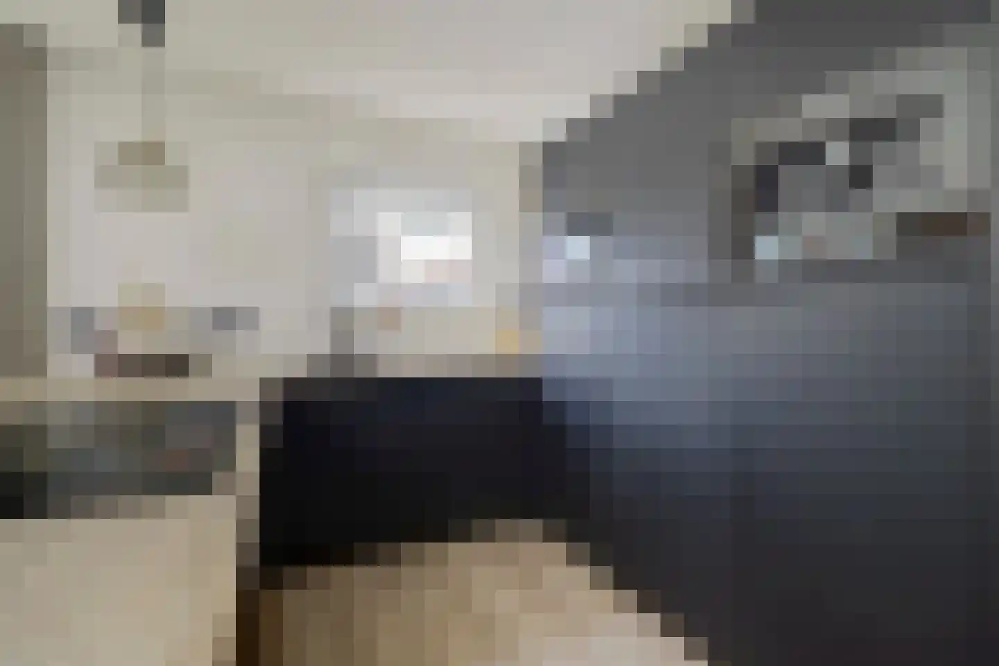 Hoofdstraat 12 Oirlo thumbnail 22