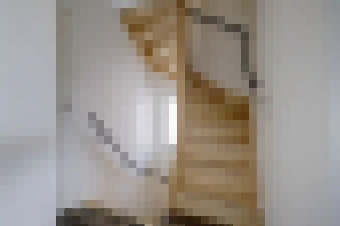 Hoofdstraat 12 Oirlo thumbnail 24