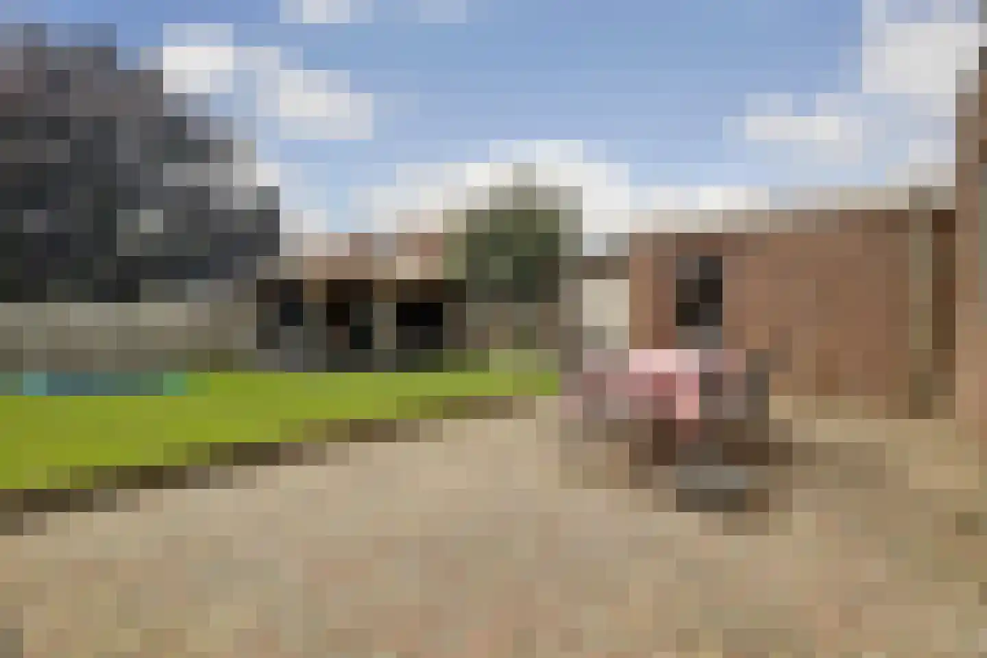 Hoofdstraat 12 Oirlo thumbnail 43