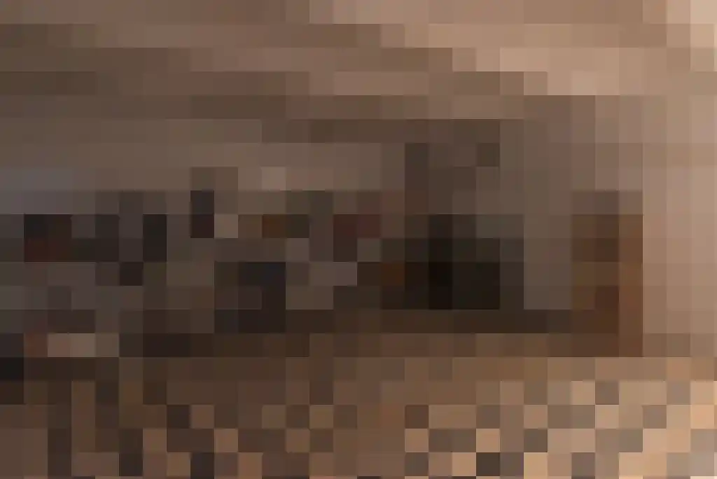 Hoofdstraat 12 Wolphaartsdijk thumbnail 18