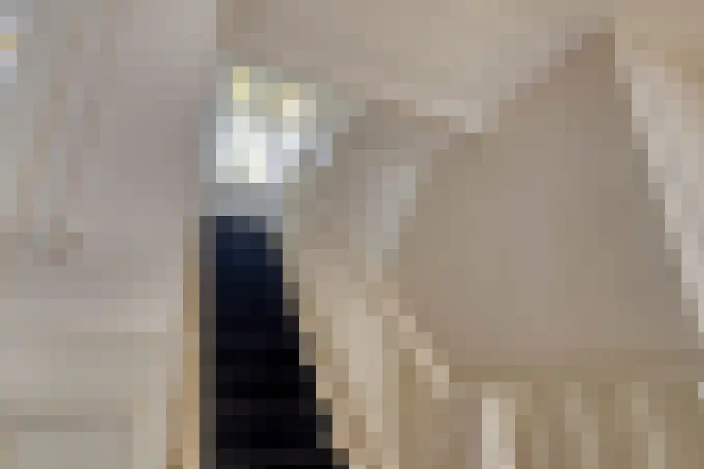 Hoofdstraat 12 Wolphaartsdijk thumbnail 22