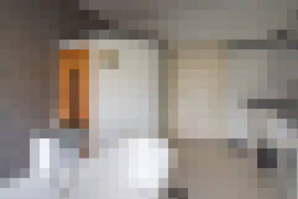 Hoofdstraat 12 Wolphaartsdijk thumbnail 31