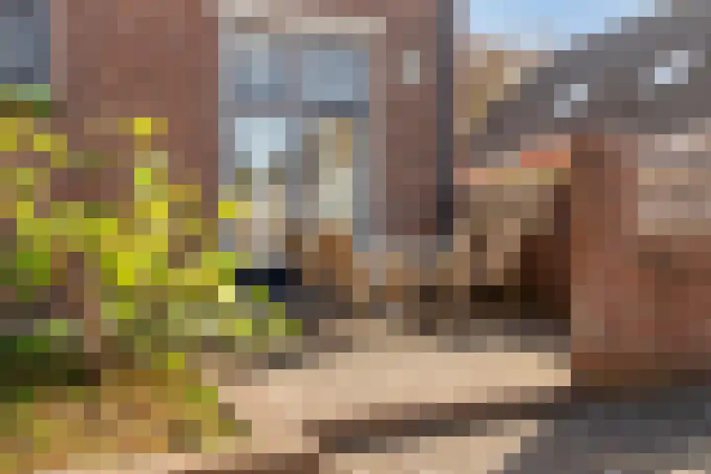 Hoofdstraat 12 Wolphaartsdijk thumbnail 46