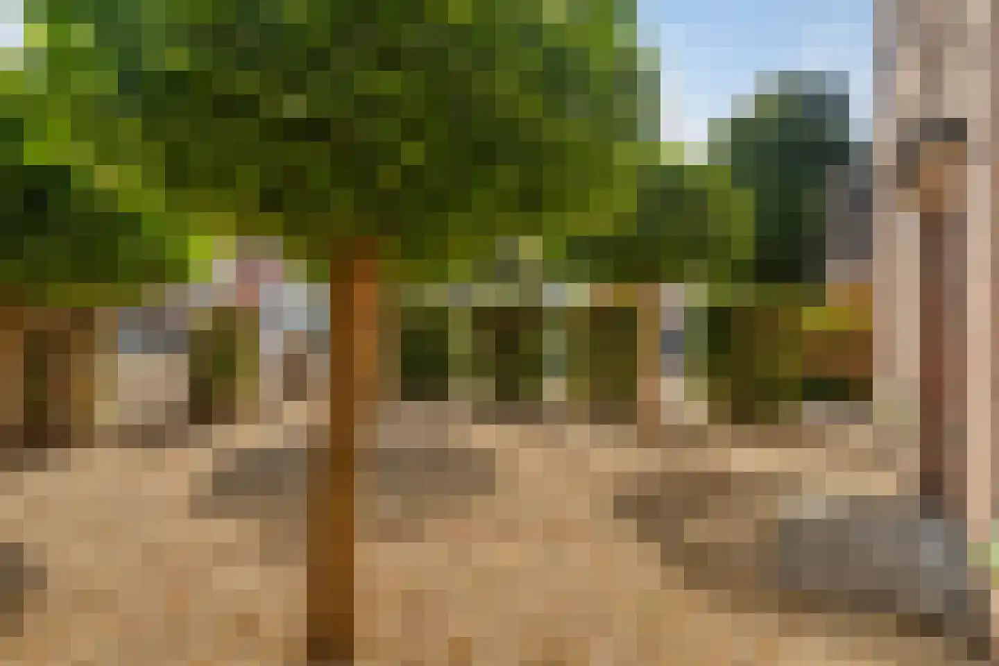 Hoofdstraat 12 Wolphaartsdijk thumbnail 50