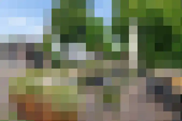 Hoofdstraat 125 C Hillegom thumbnail 23