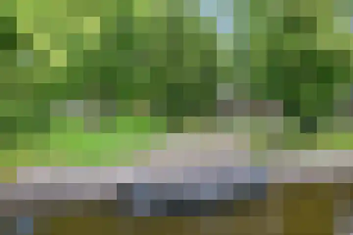 Hoofdstraat 125 C Hillegom thumbnail 24