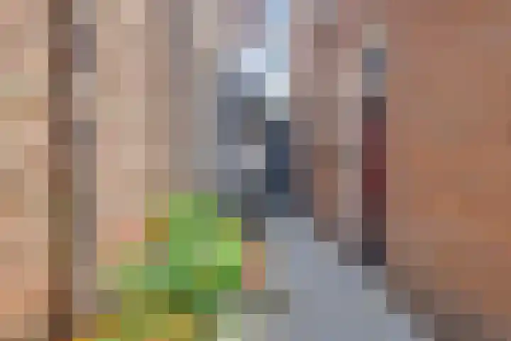 Hoofdstraat 125 C Hillegom thumbnail 7