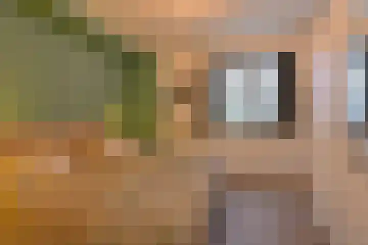 Hoofdstraat 126 Emmen thumbnail 30