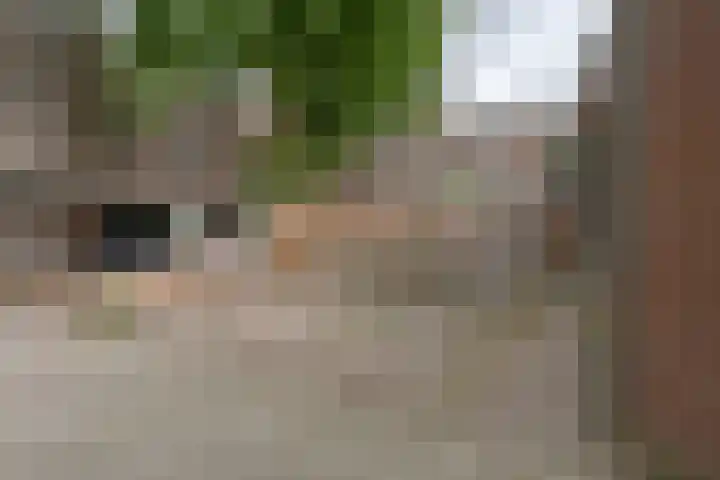 Hoofdstraat 126 Emmen thumbnail 74