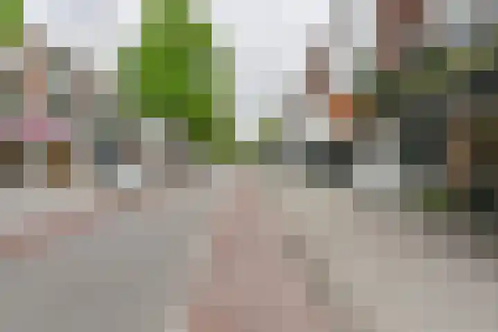 Hoofdstraat 126 Emmen thumbnail 80
