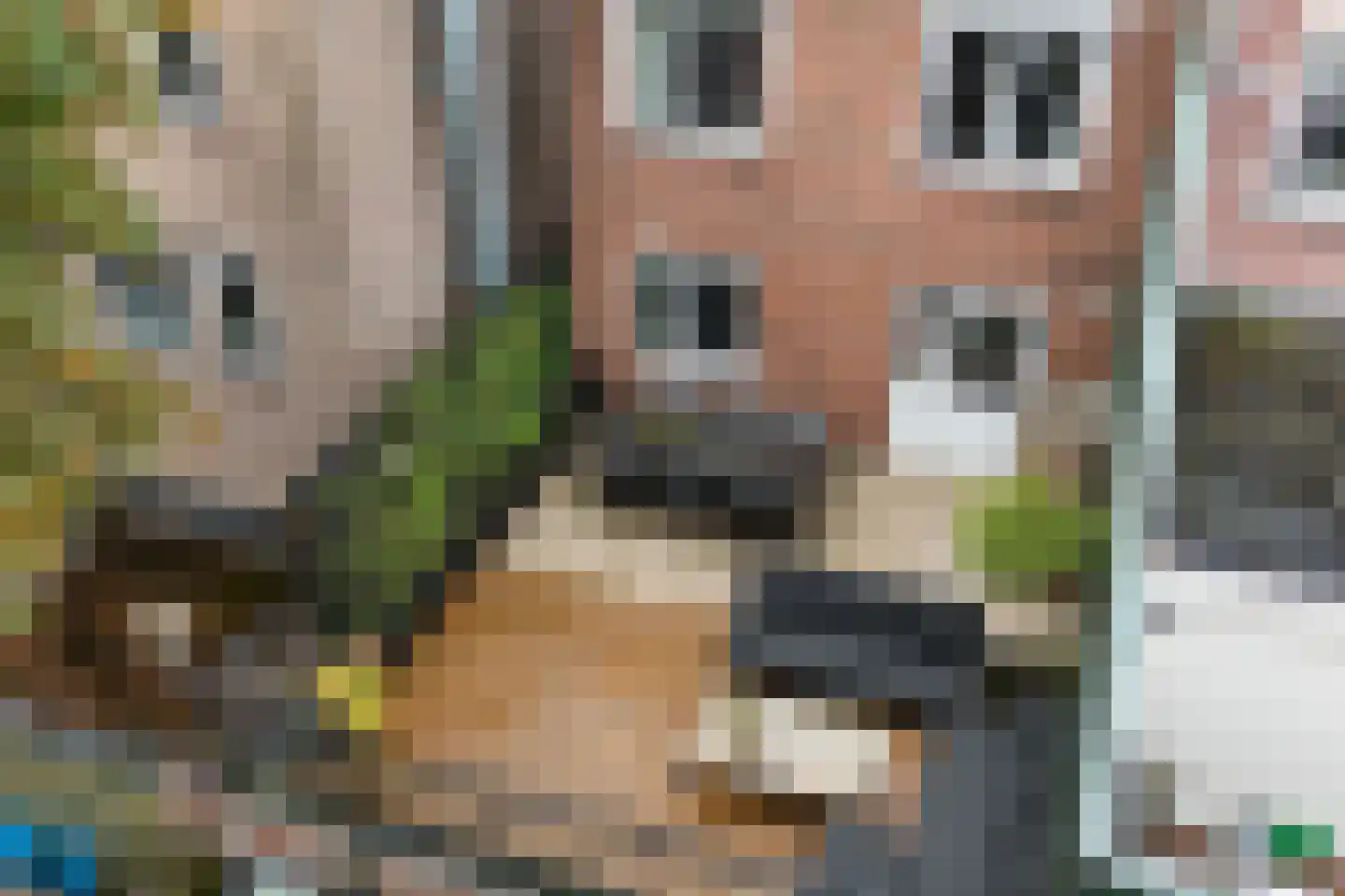 Hoofdstraat 128 Emmen thumbnail 42