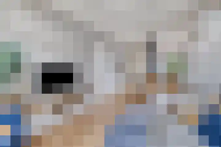 Hoofdstraat 129 Terheijden thumbnail 10