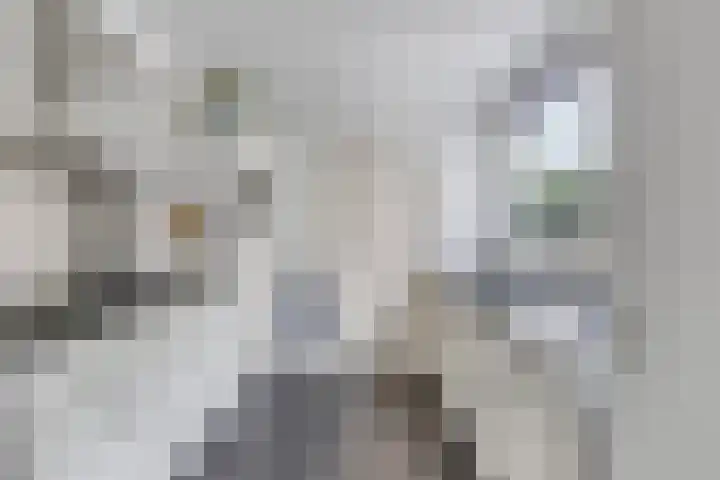 Hoofdstraat 129 Terheijden thumbnail 12