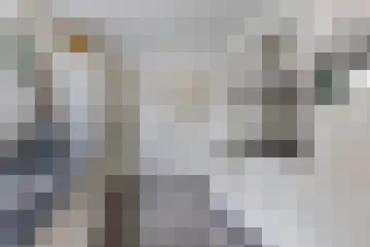 Hoofdstraat 129 Terheijden thumbnail 13