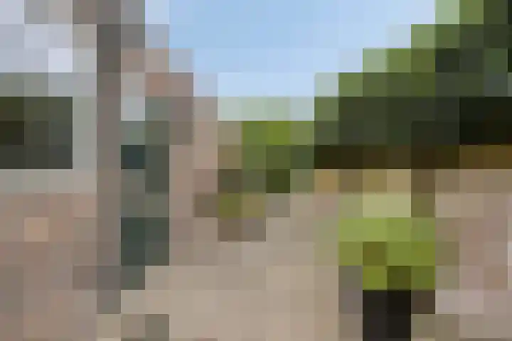 Hoofdstraat 129 Terheijden thumbnail 23