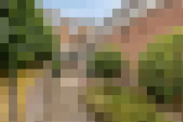Hoofdstraat 129 Terheijden thumbnail 24