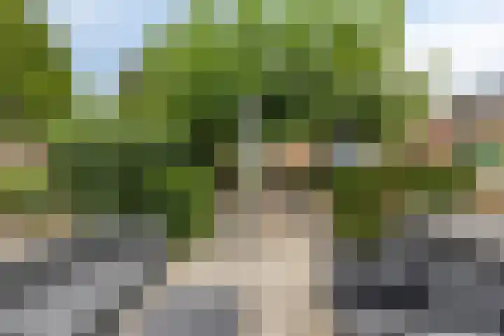 Hoofdstraat 129 Terheijden thumbnail 4