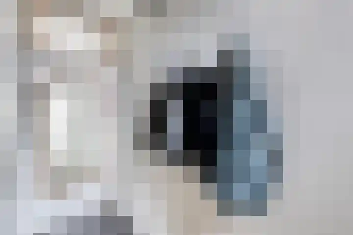 Hoofdstraat 129 Terheijden thumbnail 5